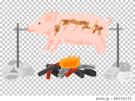 お祝いの豚の丸焼き　春節　中秋節 66258131