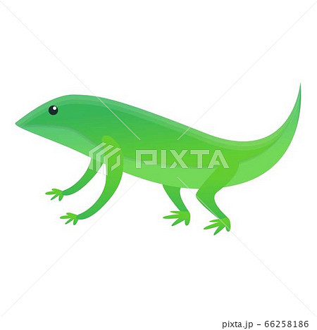 Home lizard icon, cartoon style Home lizard icon, cartoon style 66258186