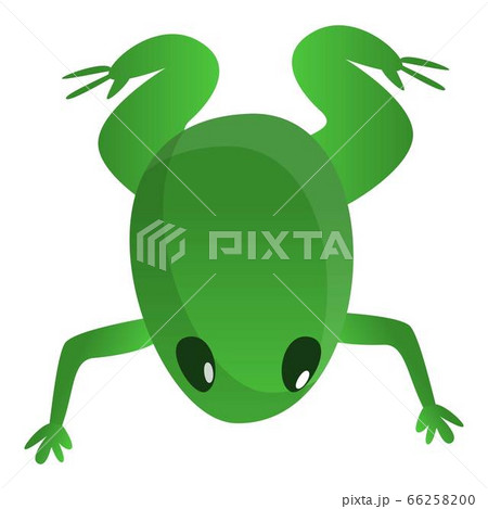 Small frog icon, cartoon style Small frog icon, cartoon style 66258200