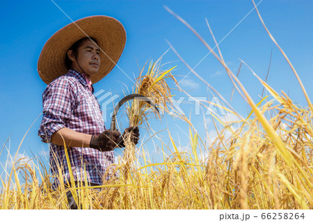 Farmer with a sickle at sky. 66258264