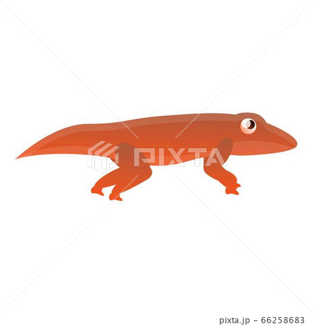 Red reptile icon, cartoon style 66258683