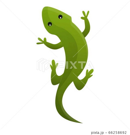 Top view reptile icon, cartoon style 66258692