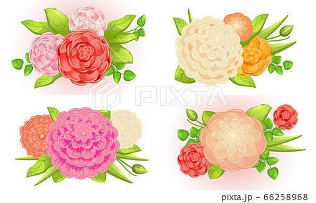 Camellia banner set, cartoon style Camellia banner set, cartoon style 66258968
