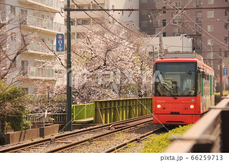 都電荒川線 都電荒川線 66259713