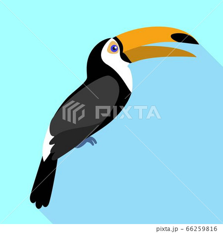 Toucan singing icon, flat style Toucan singing icon, flat style 66259816