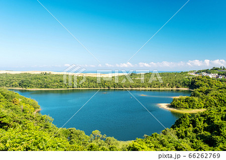 多鯰ヶ池 初夏の風景 多鯰ヶ池 初夏の風景 66262769