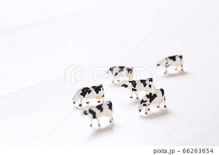 ミニチュアの牛 66263654