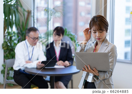 打合せ中に資料確認する女性社員 66264885