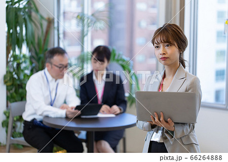 打合せ中に資料確認する女性社員 打合せ中に資料確認する女性社員 66264888