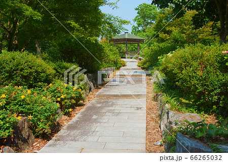 坂道の上の東屋 66265032