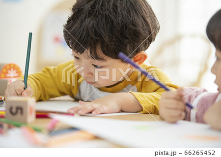 少年 子供 幼稚園児 66265452