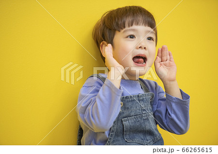少年 子供 人物 66265615