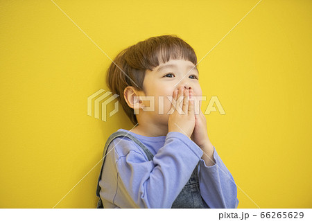 少年 子供 ポートレート 66265629