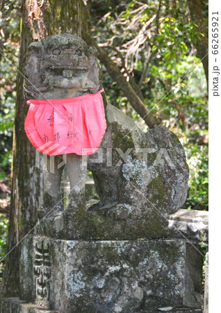 狛犬(阿形像)像(秦神社/高知県高知市長浜) 狛犬(阿形像)像(秦神社/高知県高知市長浜) 66265921
