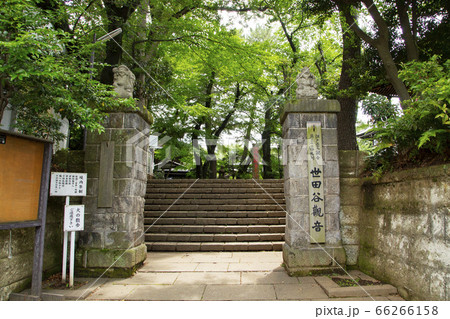 世田谷観音　裏門 66266158
