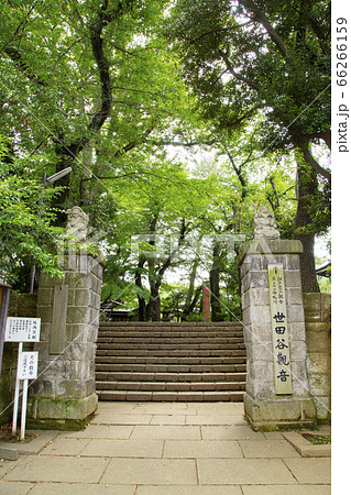 世田谷観音 裏門 世田谷観音 裏門 66266159