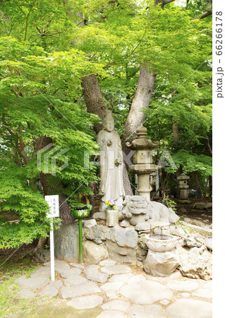 世田谷観音　文殊菩薩 66266178