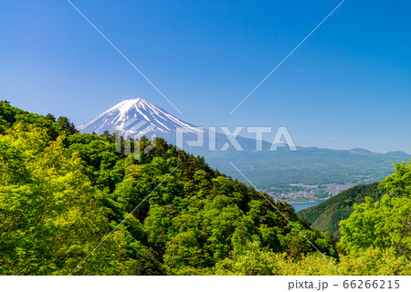 （山梨県）新緑の御坂道から望む富士山 66266215