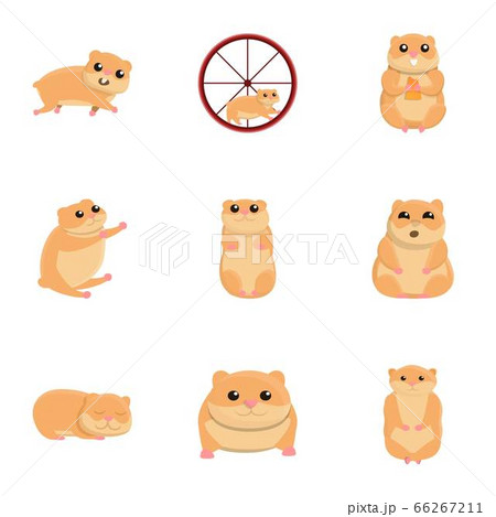 Hamster character icon set, cartoon style Hamster character icon set, cartoon style 66267211