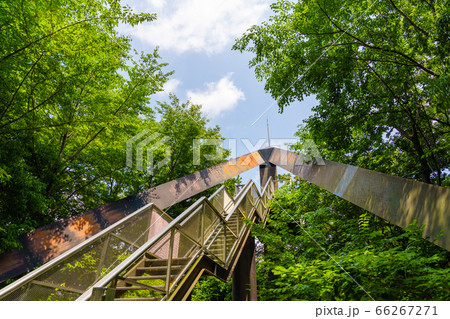 東京都八王子市の自然環境 みなみ野の丘公園の写真素材