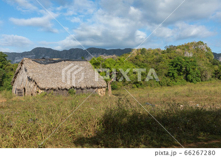 The Vinales Valley (Valle de Vinales), popular tourist destination. 66267280