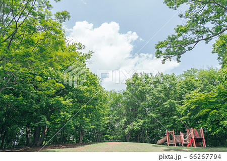 東京都八王子市の自然環境　みなみ野の丘公園 66267794