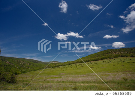 Summer field with road and clouds in blue sky. Summer field with road and clouds in blue sky. 66268689