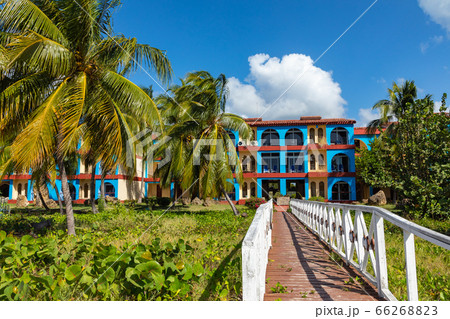Trinidad, Cuba. Coconut on an exotic beach with Trinidad, Cuba. Coconut on an exotic beach with 66268823