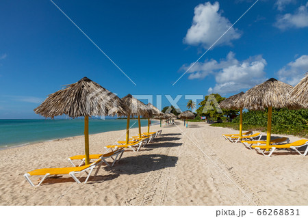 Trinidad, Cuba. Coconut on an exotic beach with Trinidad, Cuba. Coconut on an exotic beach with 66268831