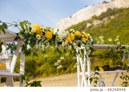 Happy outdoor Wedding Ceremony Scene for a summer Happy outdoor Wedding Ceremony Scene for a summer 66268946