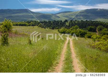 Summer field with road and clouds in blue sky. Summer field with road and clouds in blue sky. 66268969