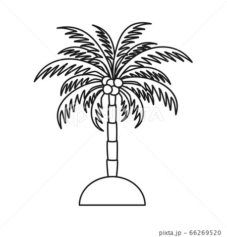 coconut tree cartoon black and white