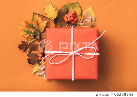 holiday present congratulations gift box autumn 66269842