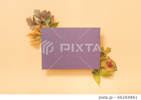 purple greeting card mockup birthday celebration purple greeting card mockup birthday celebration 66269861