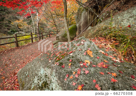 【2019年】山梨県甲府市・昇仙峡 66270308