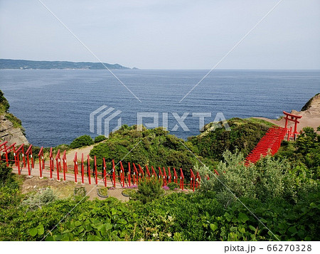 鳥居のトンネル 66270328