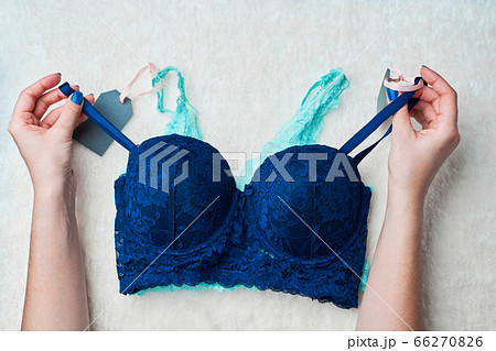 Variety of female bra in underwear store. Variety of female bra in underwear store. 66270826