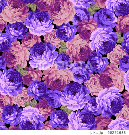 美しい薔薇のベクターパターンのイラスト素材