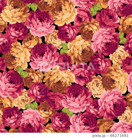 美しい薔薇のベクターパターンのイラスト素材