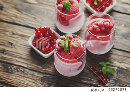 Frozen homade sorbet with red currant 66271873