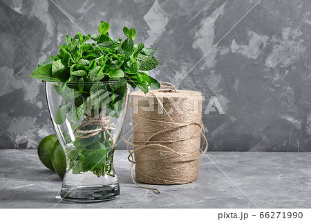 Bunch of fresh mint in a vase of water on a gray background. copies of the space. 66271990