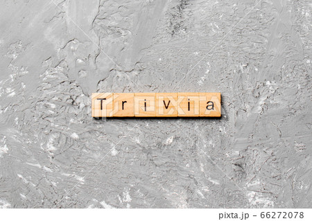 trivia word written on wood block. trivia text on 66272078