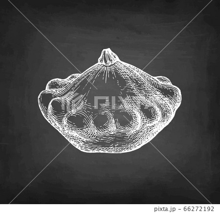 Chalk sketch of pattypan squash. 66272192