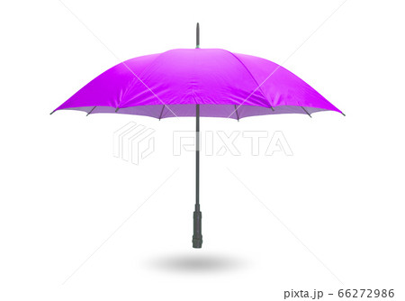 Purple umbrella 66272986