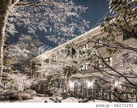 銀世界の夜 銀世界の夜 66273292