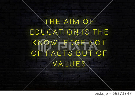 Wise quote. Neon inscription against brick wall 66273347