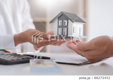 Sale representative offer house purchase contract Sale representative offer house purchase contract 66273452