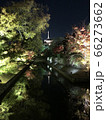 京都　五重塔と紅葉 66273662