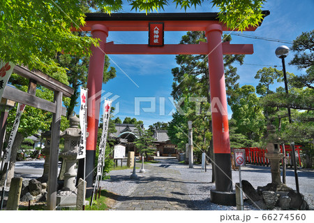 【大垣八幡神社】 岐阜県大垣市西外側町 【大垣八幡神社】 岐阜県大垣市西外側町 66274560
