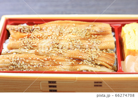 美味しいアナゴ弁当 美味しいアナゴ弁当 66274708
